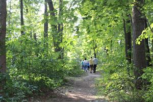 Group of Adults walking through Kern Park