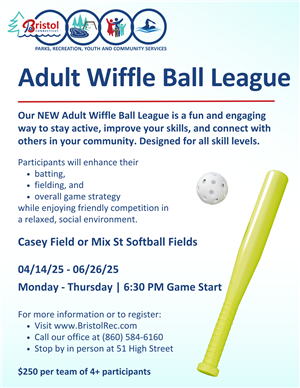 Wiffle Ball League Flyer