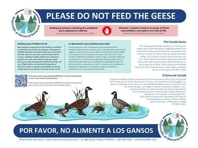 geese post geese post