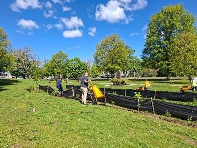planting planting