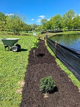 planting planting